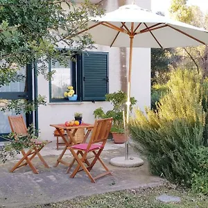 https://domos-caracol.in-sardinia.net